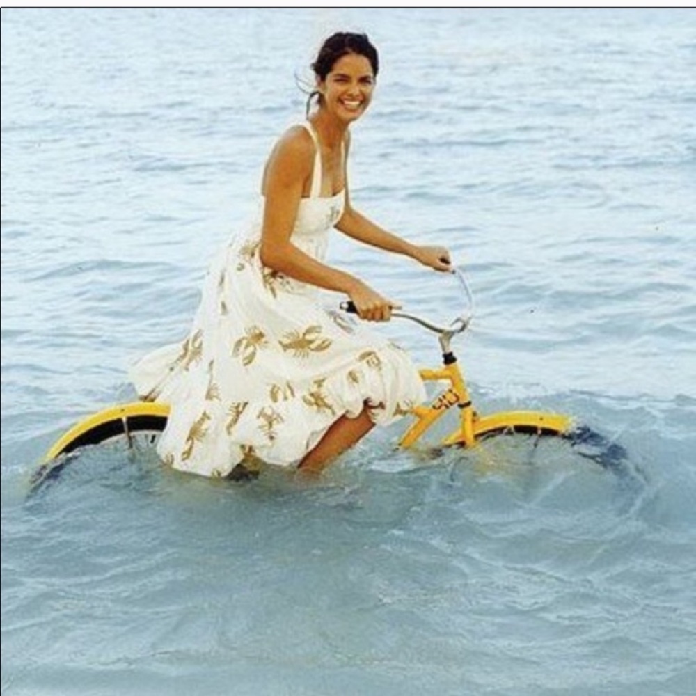 Vintage JCrew lobster dress